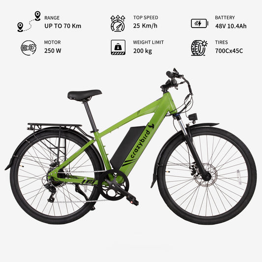 Crazybird C3 E-bike