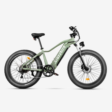 Crazybird Jumper fat tire ebike