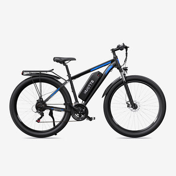 Crazybird Duotts C29 E-Bike