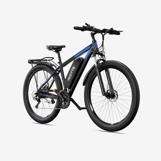 Crazybird Duotts C29 E-Bike