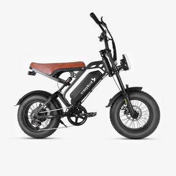 Crazybird CB4 ebike