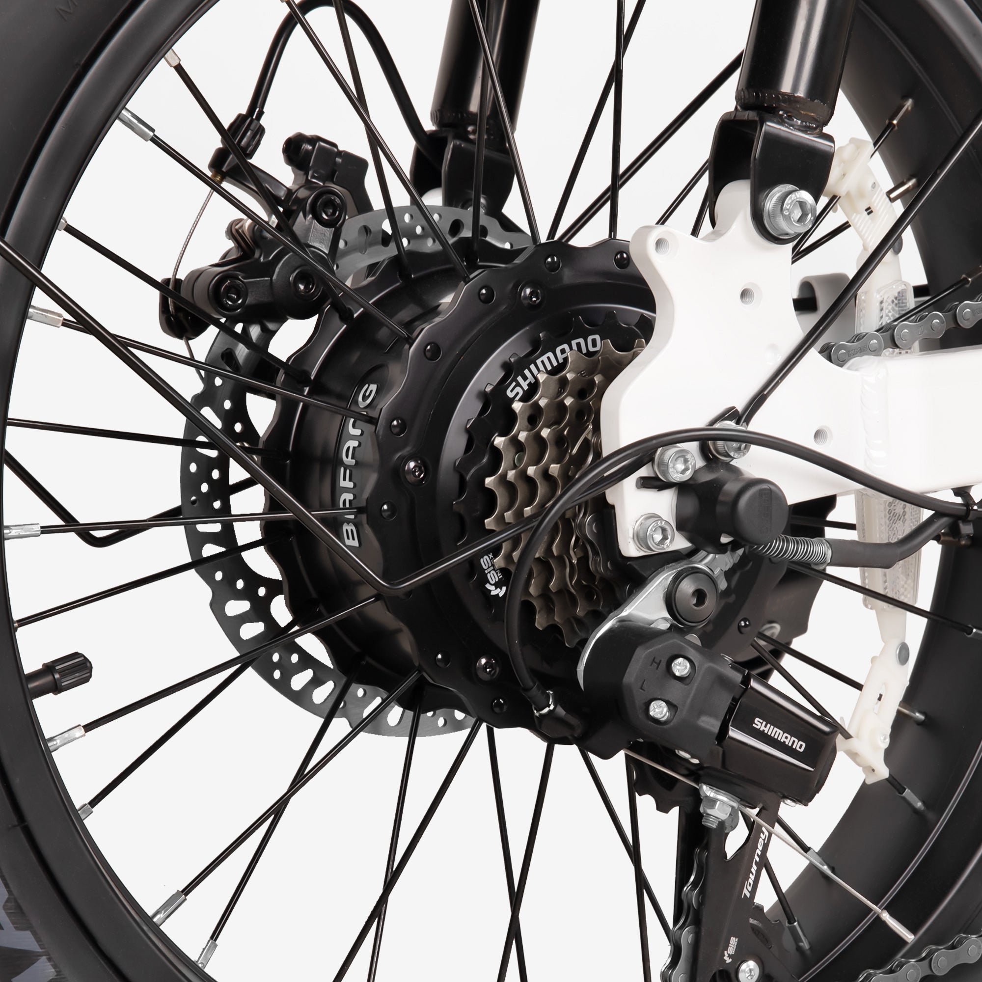 cb-cb50-1.jpg?v=1736322903&
