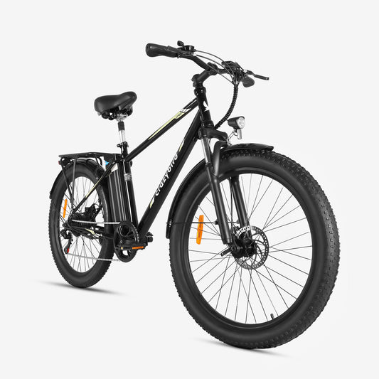 Crazybird CF60 ebike
