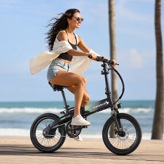 Crazybird CU2 foldable ebike