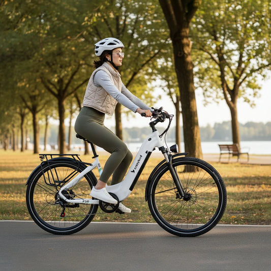 Crazybird F16 ebike