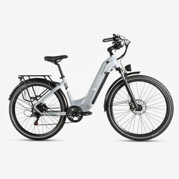 Crazybird F16 ebike
