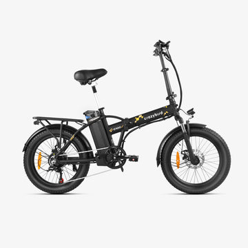 Crazybird G100 Folding ebike