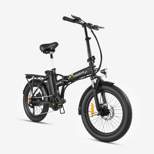 Crazybird G100 Folding ebike
