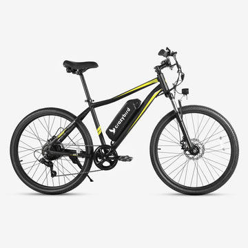 Crazybird H1 electric mtb