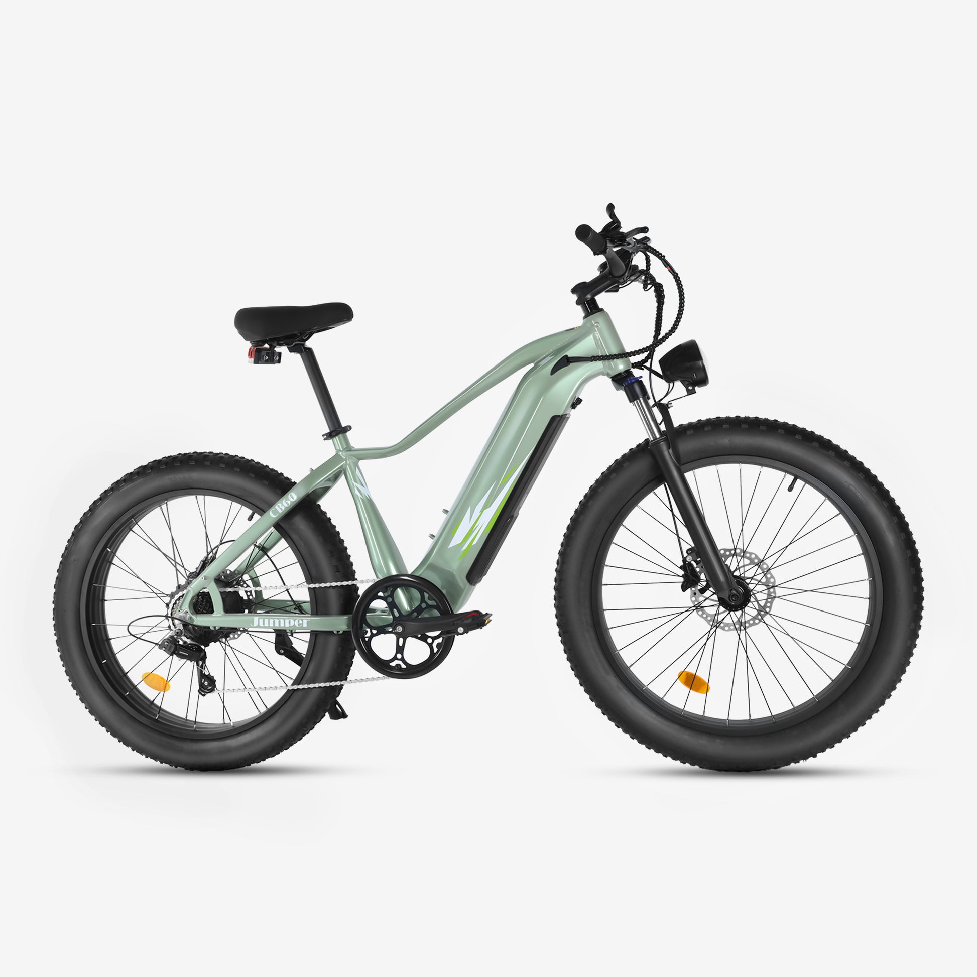 Crazybird-Jumper Electric Bike for Adults with 750W Motor 26