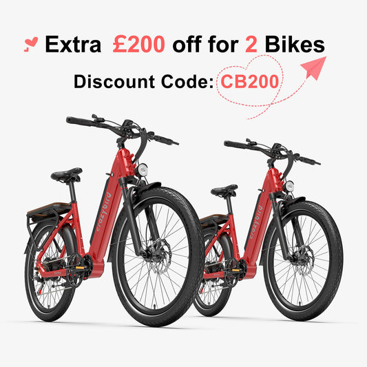 Crazybird Seta ebike
