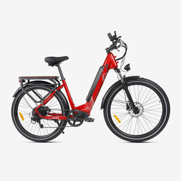 Crazybird Seta ebike