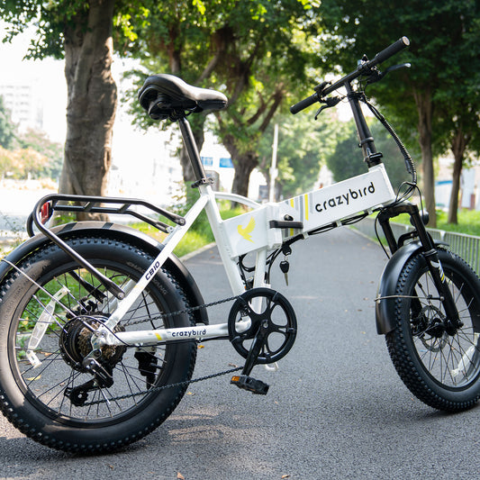 Crazybird CB10 foldable ebike