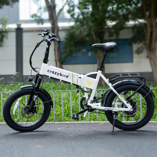 Crazybird CB10 foldable ebike