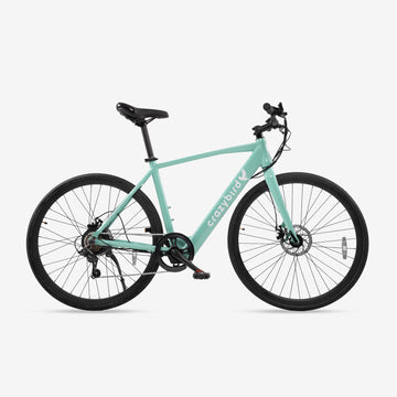 Crazybird CB20 electric bike