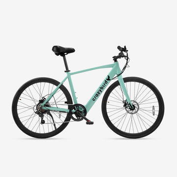 Crazybird CB20 electric bike