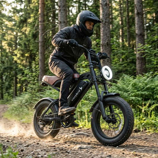 Crazybird CB4 ebike