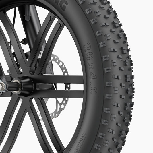 Engwe L20 Boost E-BIKE