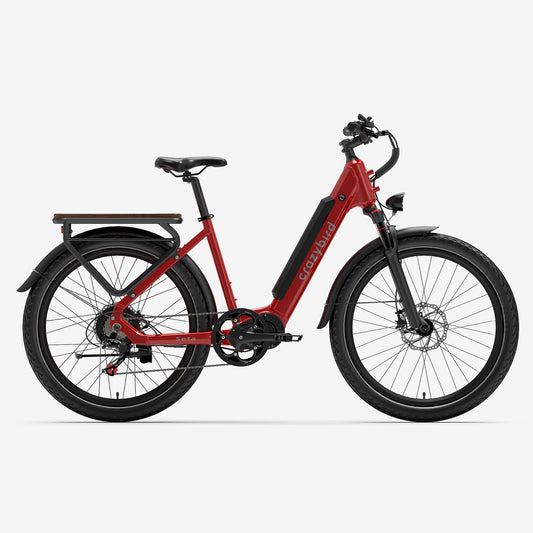 Crazybird Seta ebike