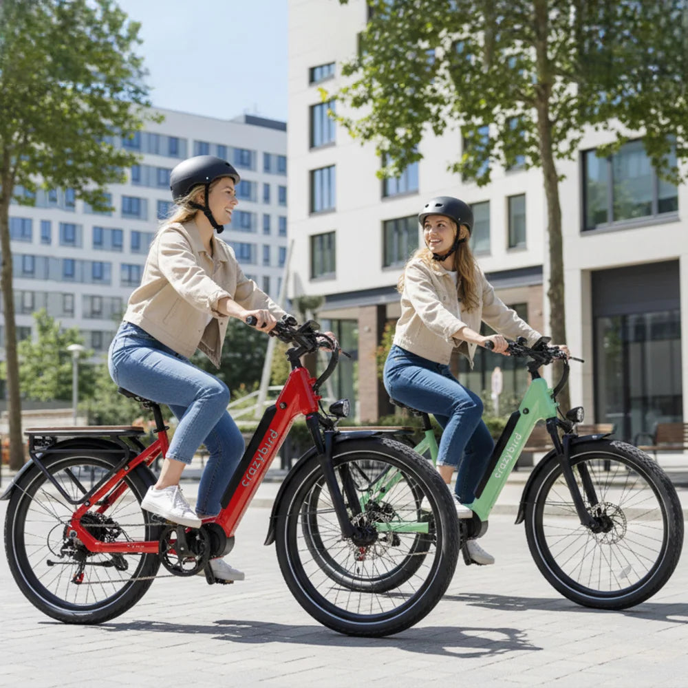 Crazybird-Seta Electric Bike for Adults 500W Motor Peak E-bike 48V