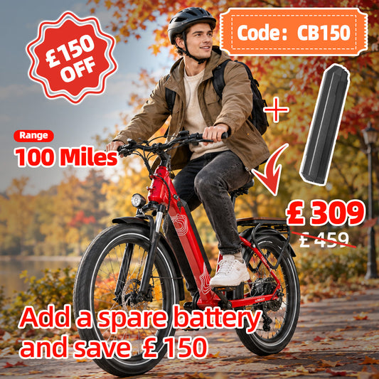 Crazybird Seta ebike