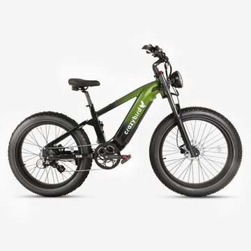 Crazybird YU8 fat tire ebike