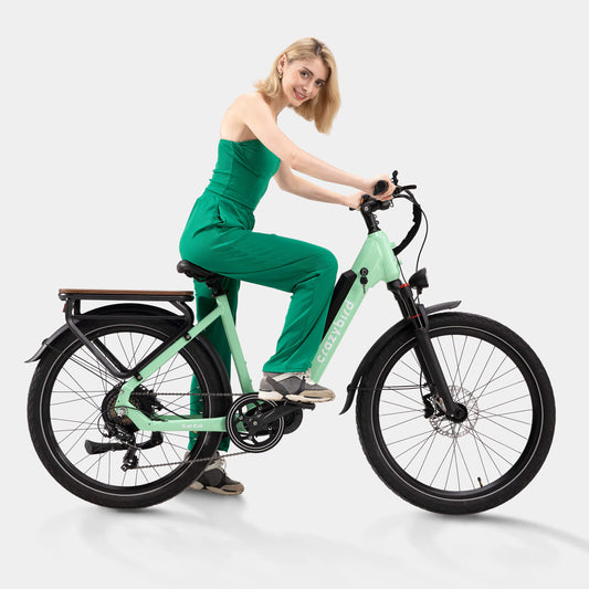 Crazybird Seta ebike